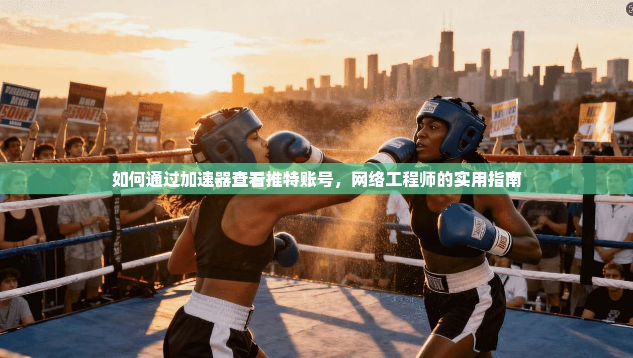 如何通过加速器查看推特账号,网络工程师的实用指南