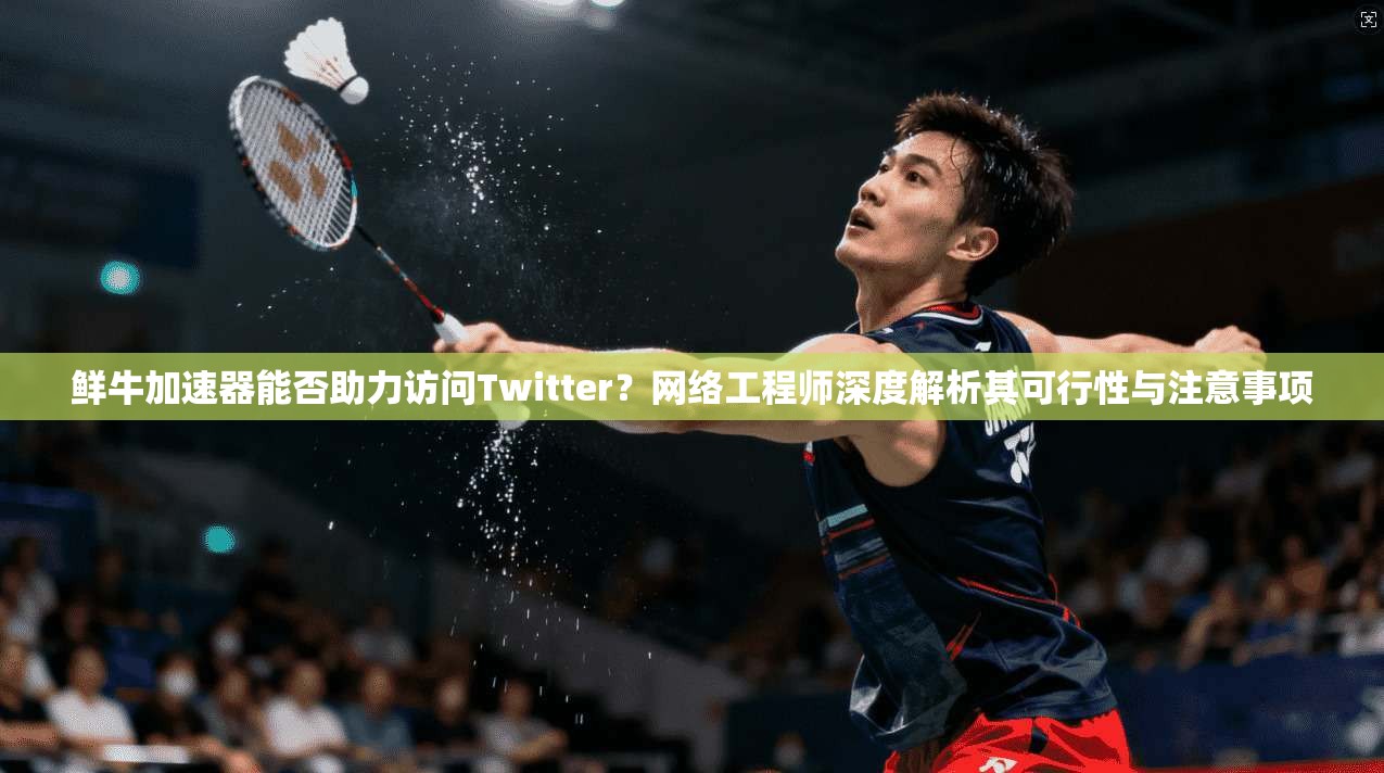 鲜牛加速器能否助力访问Twitter？网络工程师深度解析其可行性与注意事项