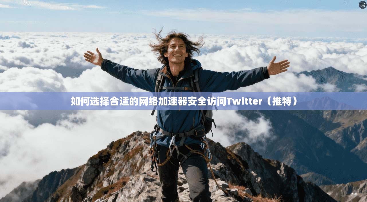 如何选择合适的网络加速器安全访问Twitter（推特）