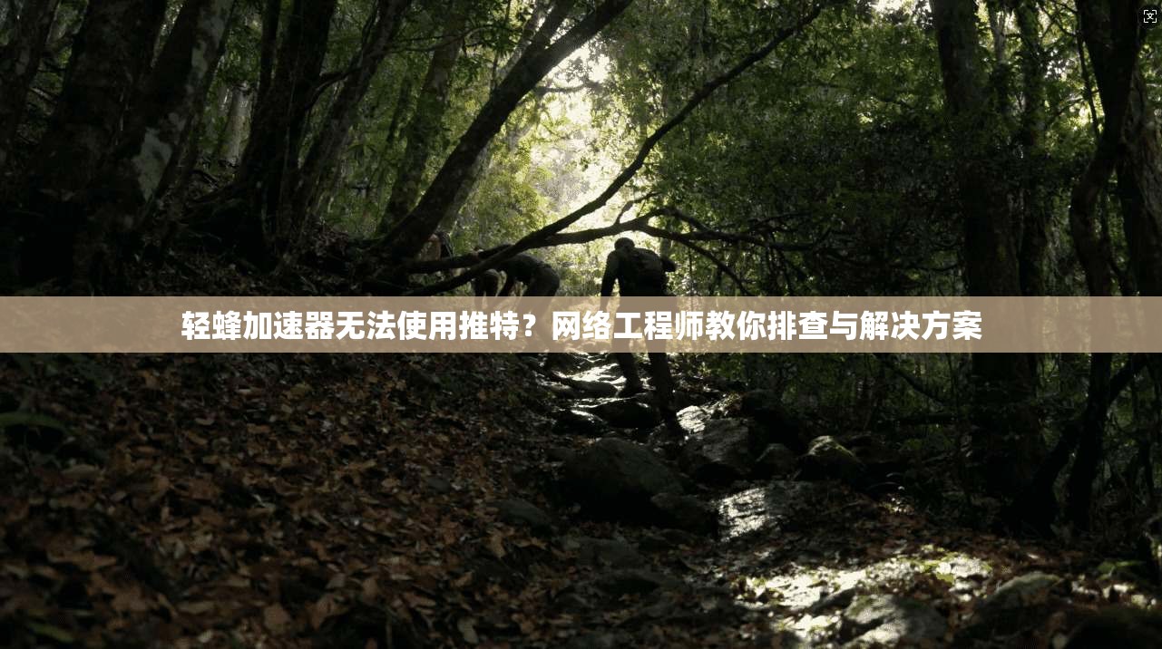 轻蜂加速器无法使用推特？网络工程师教你排查与解决方案
