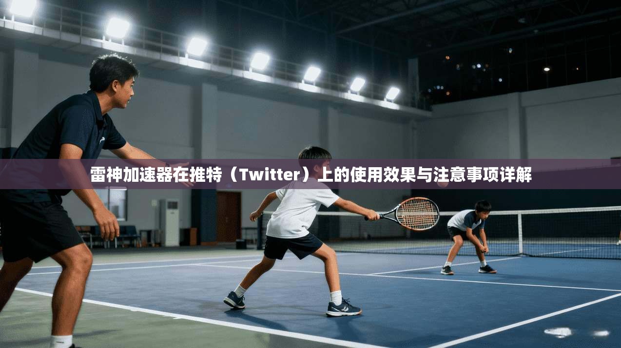 雷神加速器在推特(Twitter)上的使用效果与注意事项详解