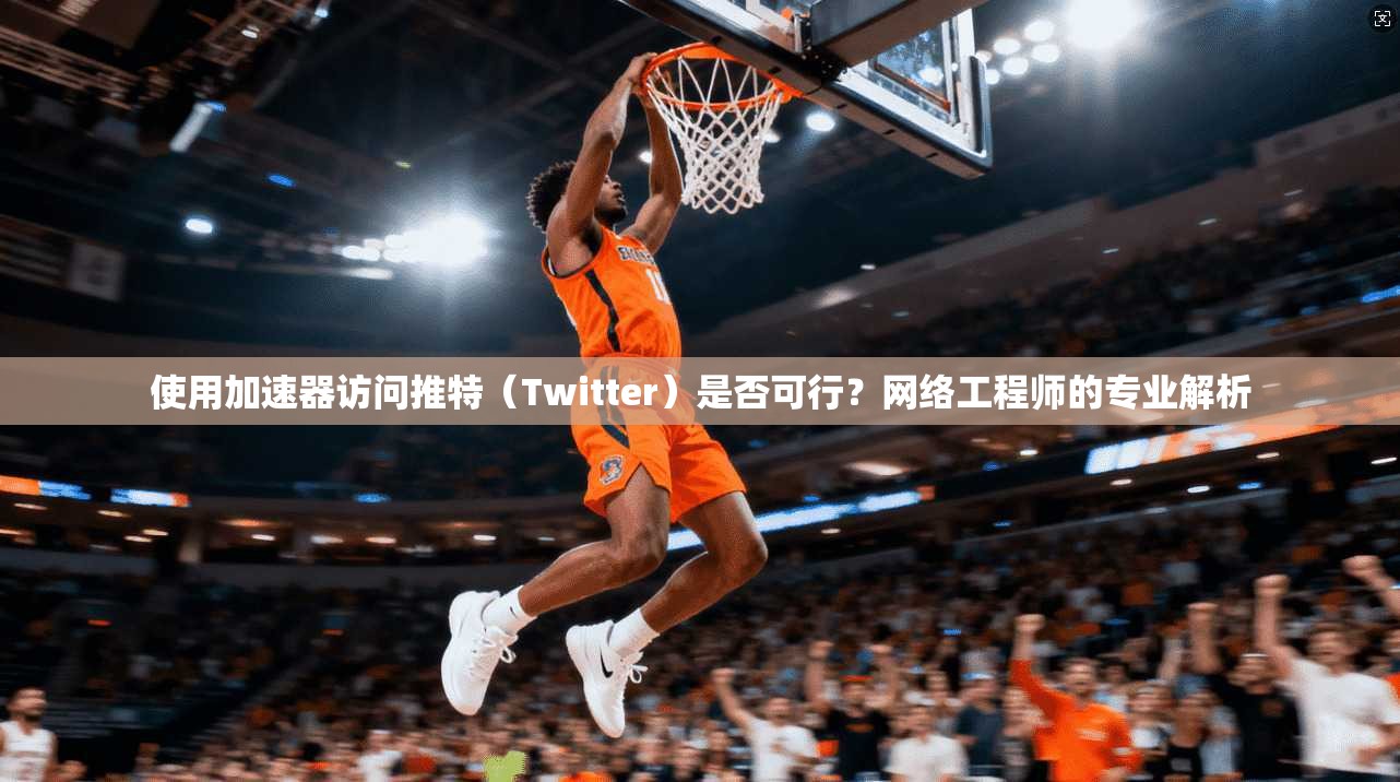 使用加速器访问推特(Twitter)是否可行?网络工程师的专业解析