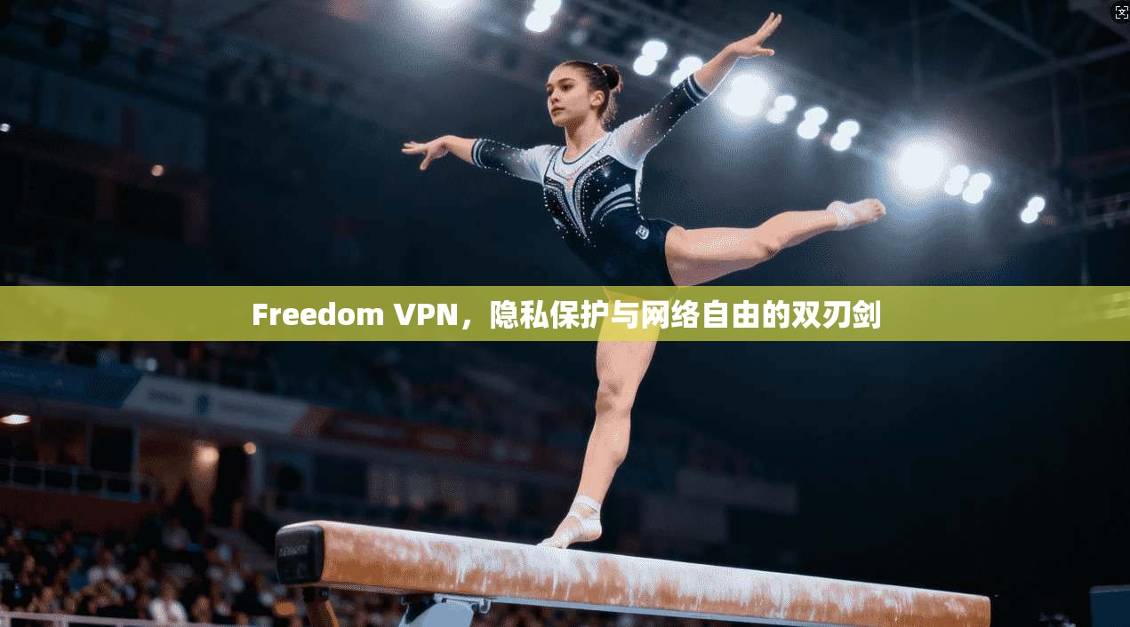 Freedom VPN，隐私保护与网络自由的双刃剑