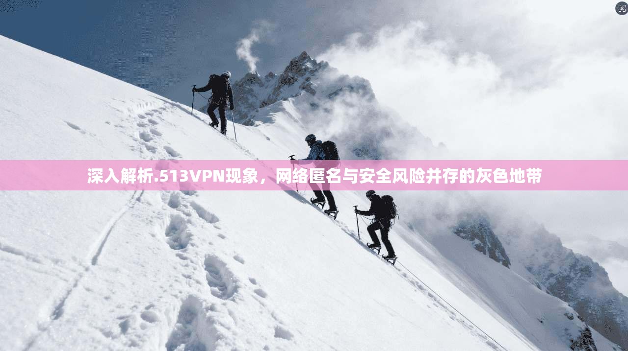 深入解析.513VPN现象，网络匿名与安全风险并存的灰色地带