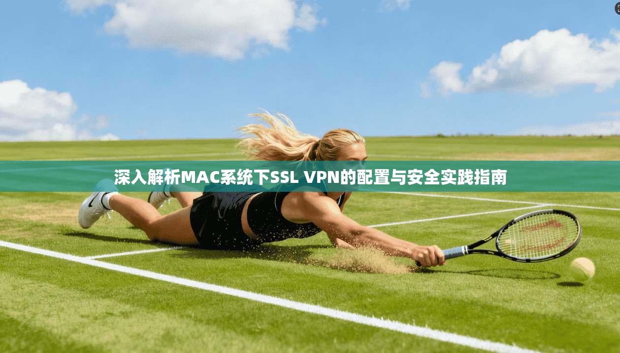 深入解析MAC系统下SSL VPN的配置与安全实践指南