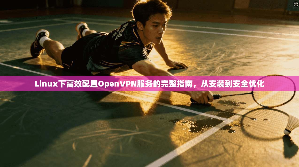 Linux下高效配置OpenVPN服务的完整指南，从安装到安全优化