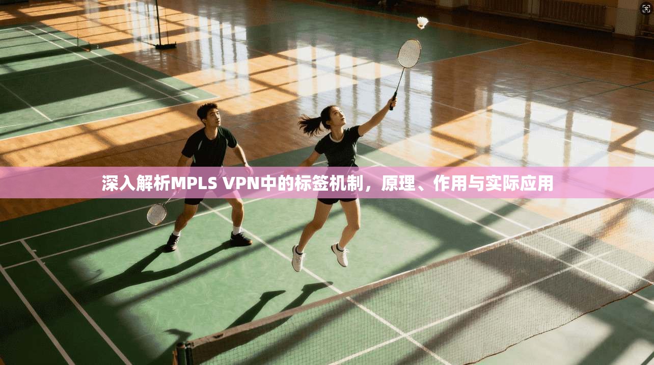 深入解析MPLS VPN中的标签机制，原理、作用与实际应用