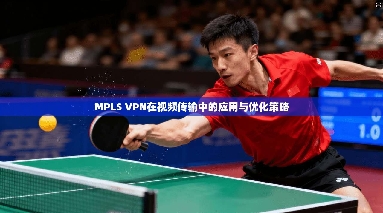MPLS VPN在视频传输中的应用与优化策略