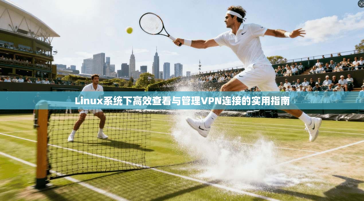Linux系统下高效查看与管理VPN连接的实用指南