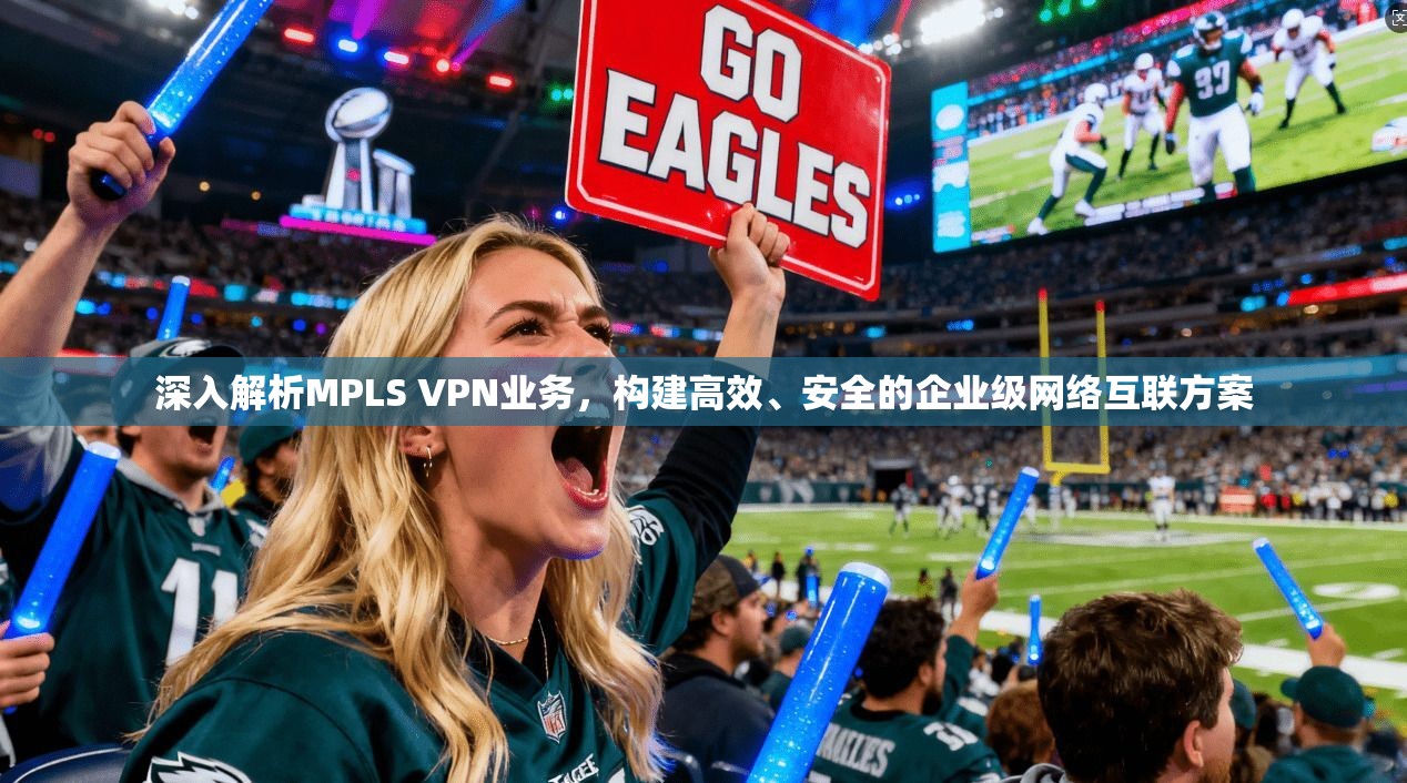 深入解析MPLS VPN业务，构建高效、安全的企业级网络互联方案