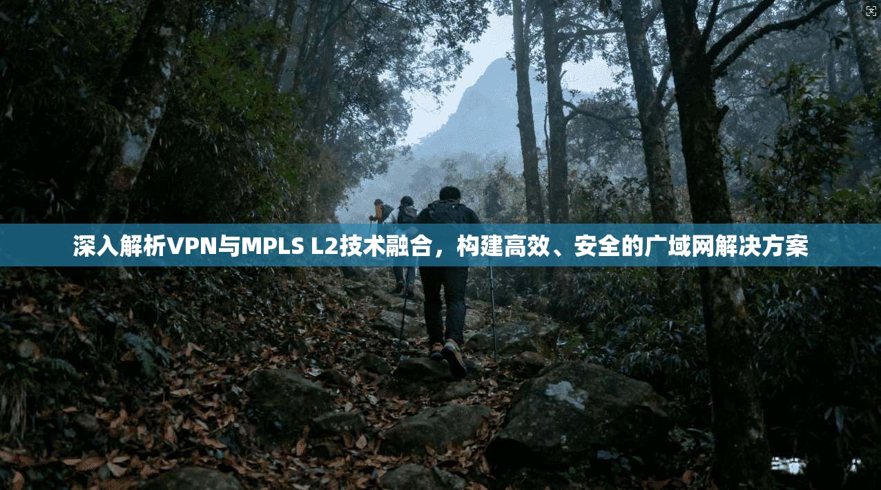 深入解析VPN与MPLS L2技术融合，构建高效、安全的广域网解决方案