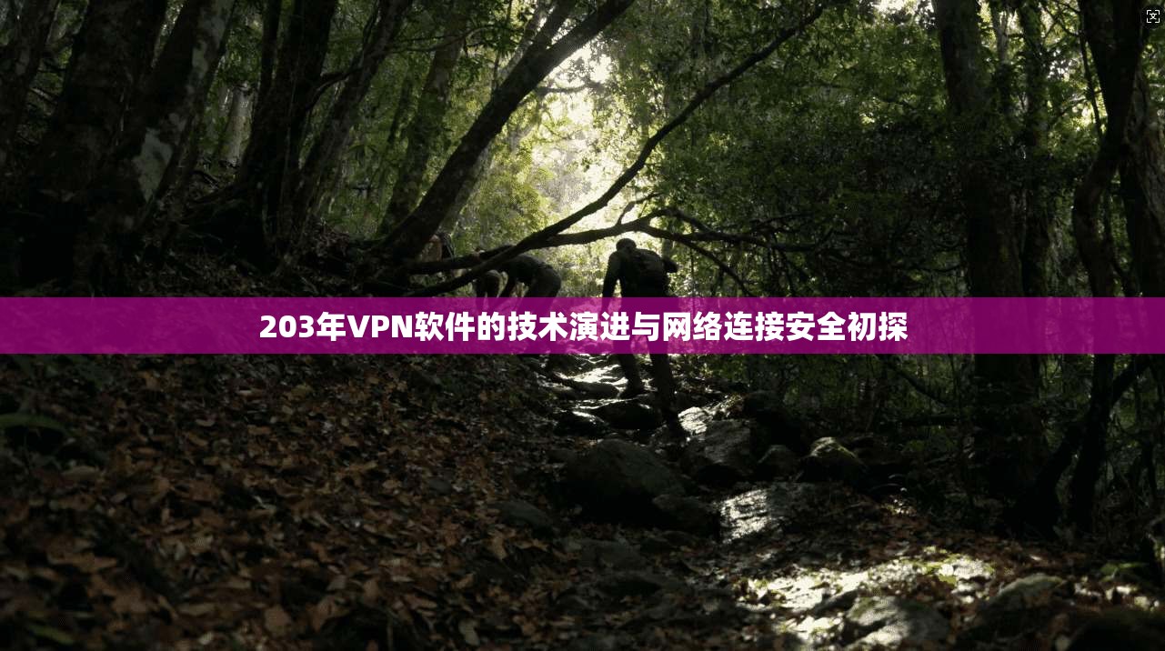 203年VPN软件的技术演进与网络连接安全初探