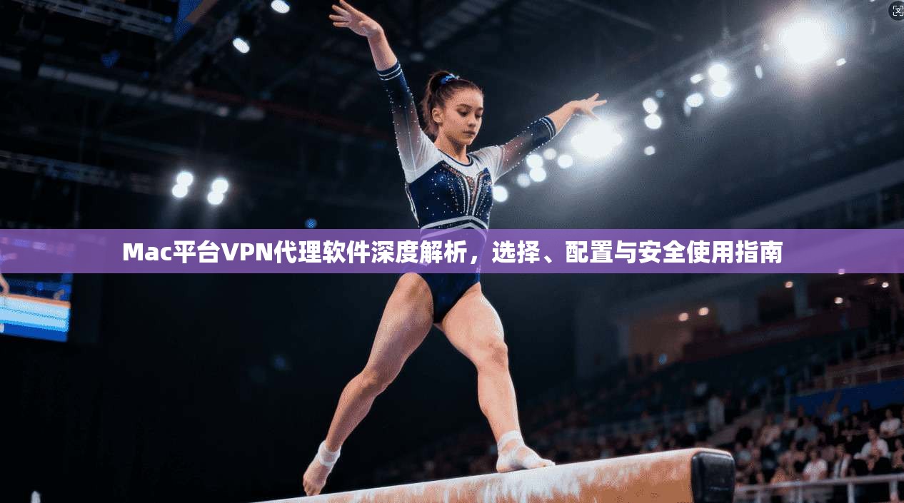 Mac平台VPN代理软件深度解析，选择、配置与安全使用指南