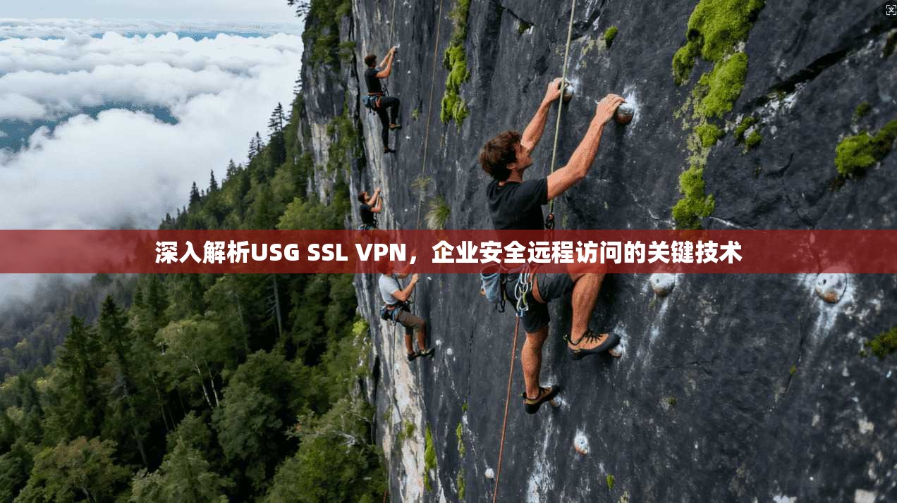深入解析USG SSL VPN，企业安全远程访问的关键技术