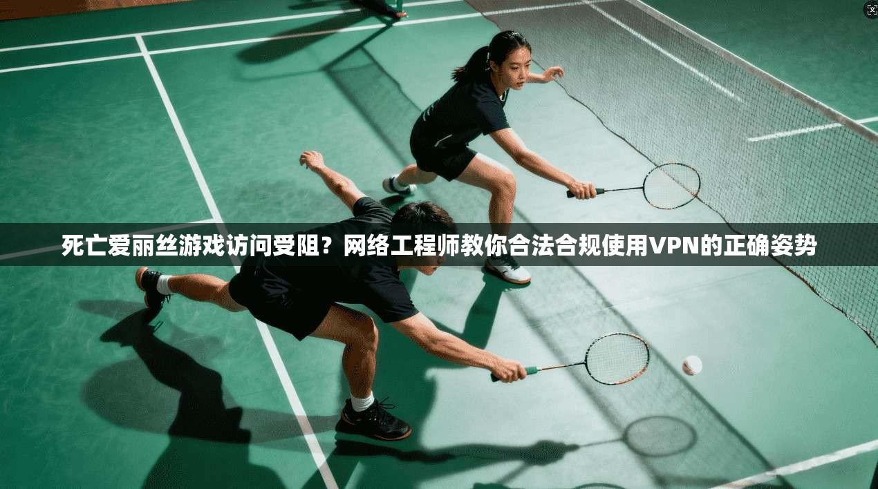 死亡爱丽丝游戏访问受阻？网络工程师教你合法合规使用VPN的正确姿势