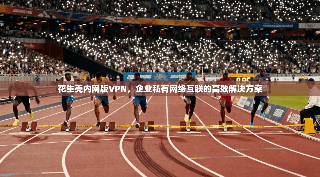 花生壳内网版VPN，企业私有网络互联的高效解决方案