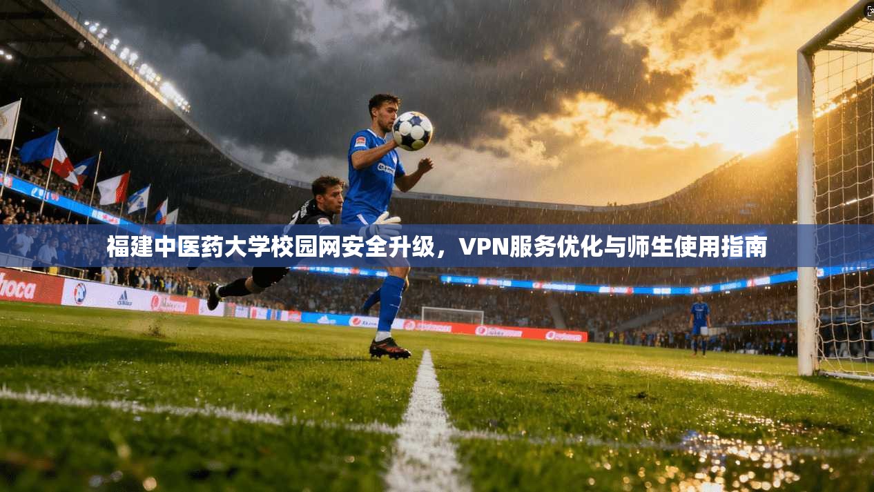 福建中医药大学校园网安全升级，VPN服务优化与师生使用指南