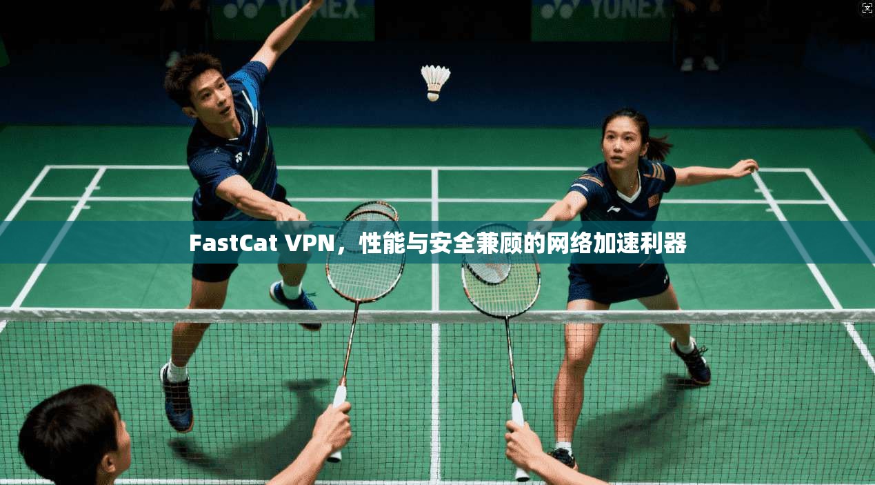 FastCat VPN,性能与安全兼顾的网络加速利器