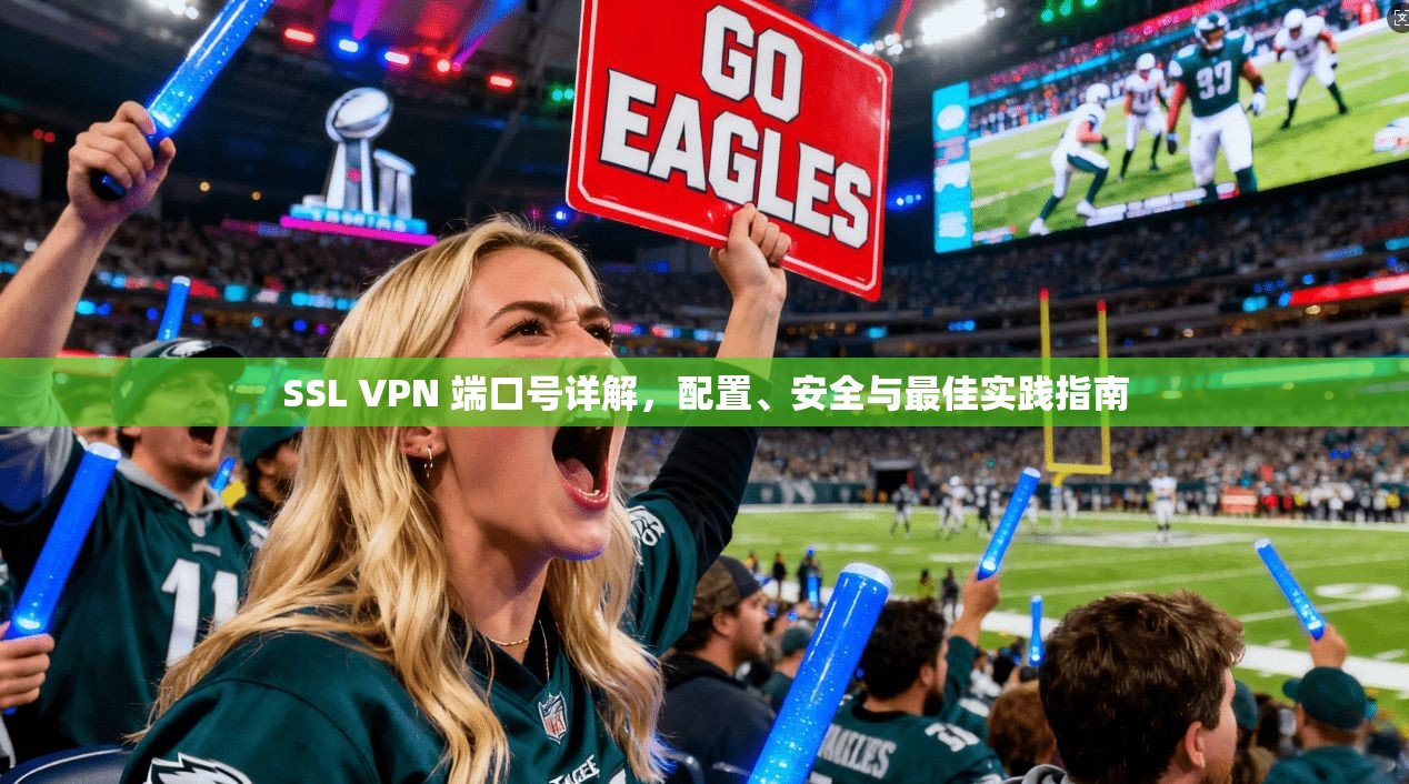 SSL VPN 端口号详解，配置、安全与最佳实践指南