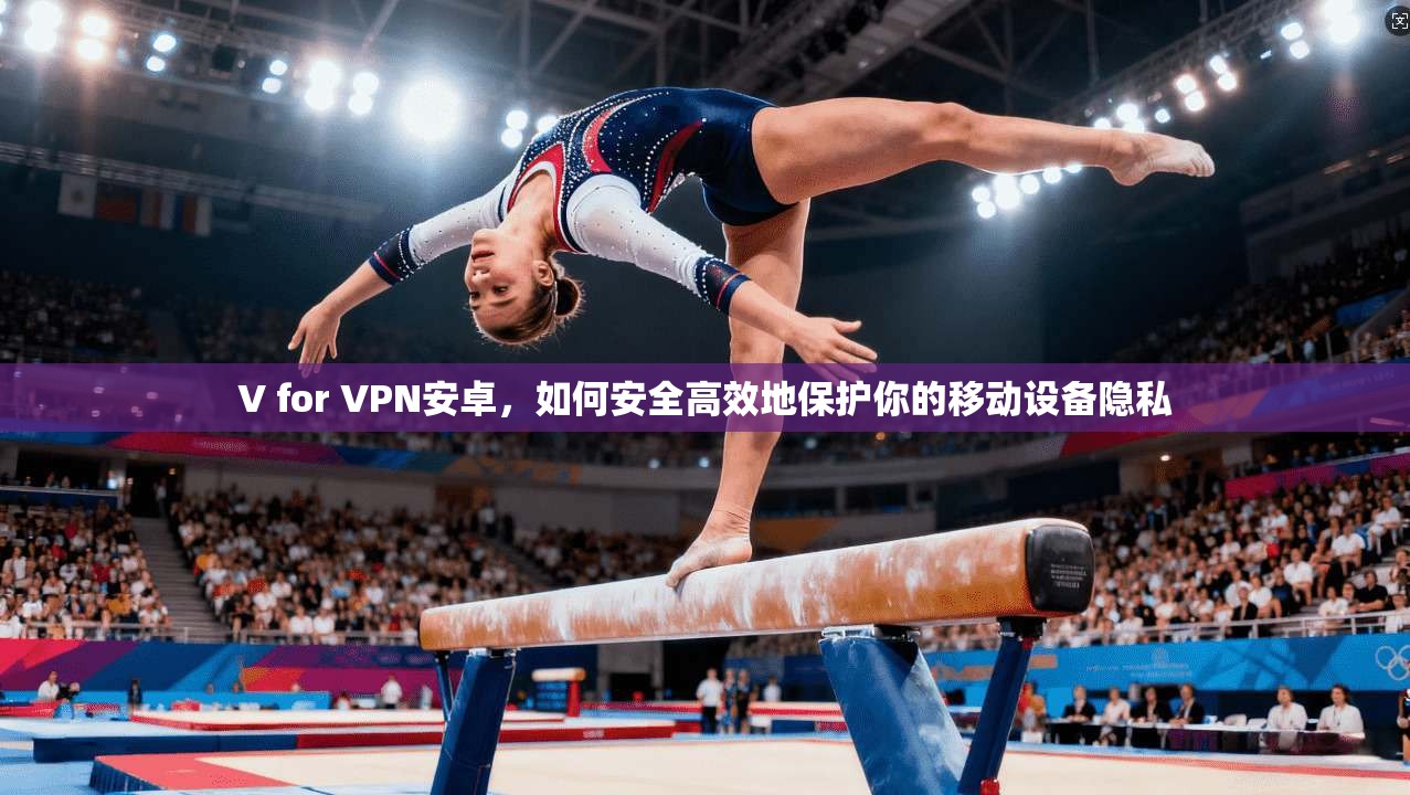 V for VPN安卓，如何安全高效地保护你的移动设备隐私