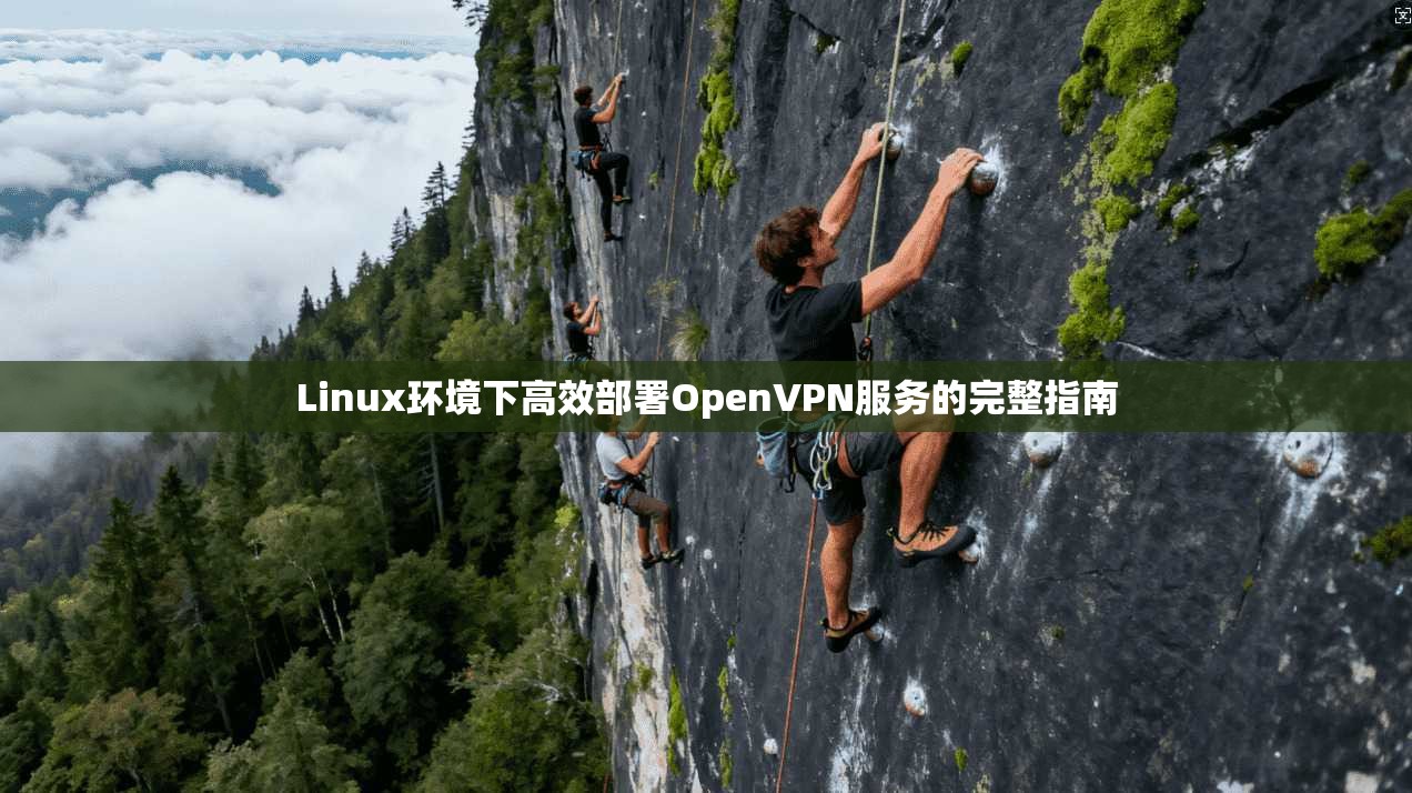 Linux环境下高效部署OpenVPN服务的完整指南