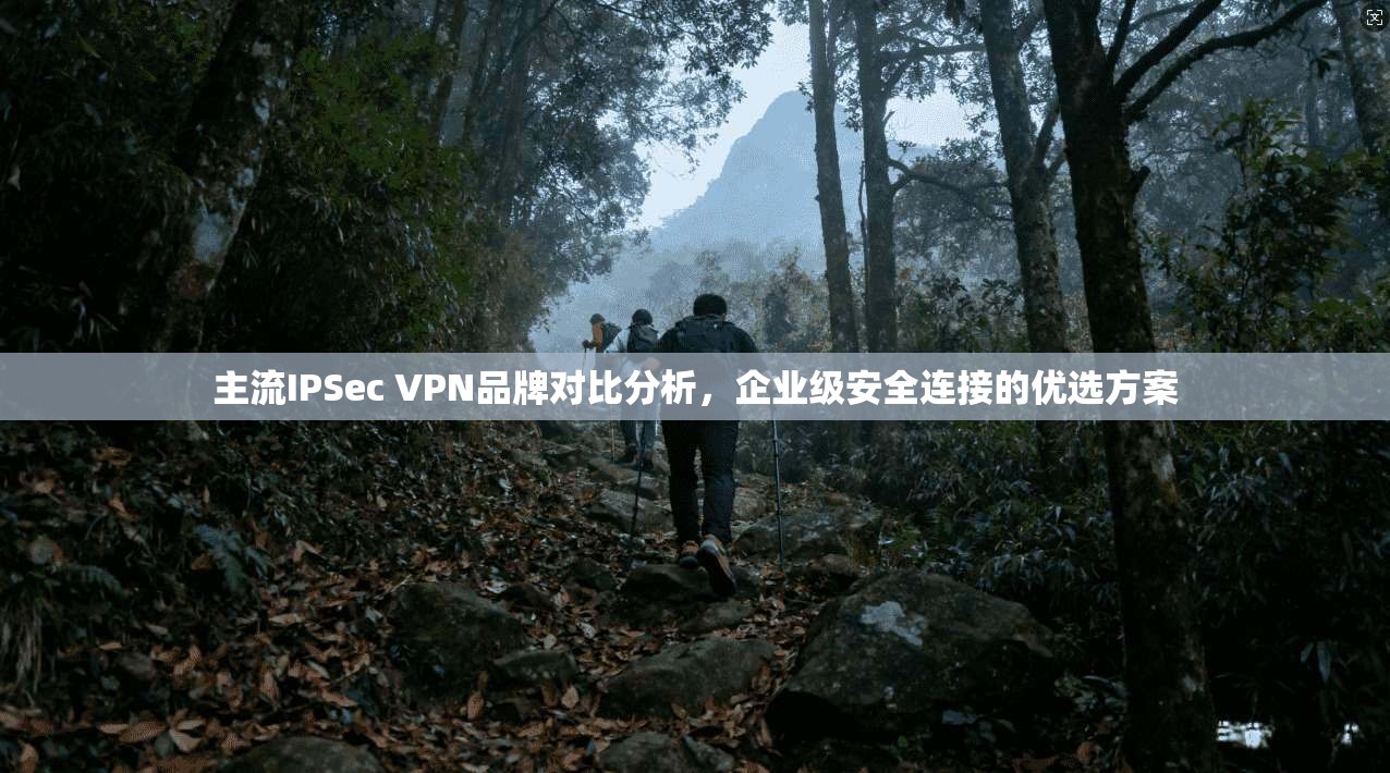 主流IPSec VPN品牌对比分析，企业级安全连接的优选方案
