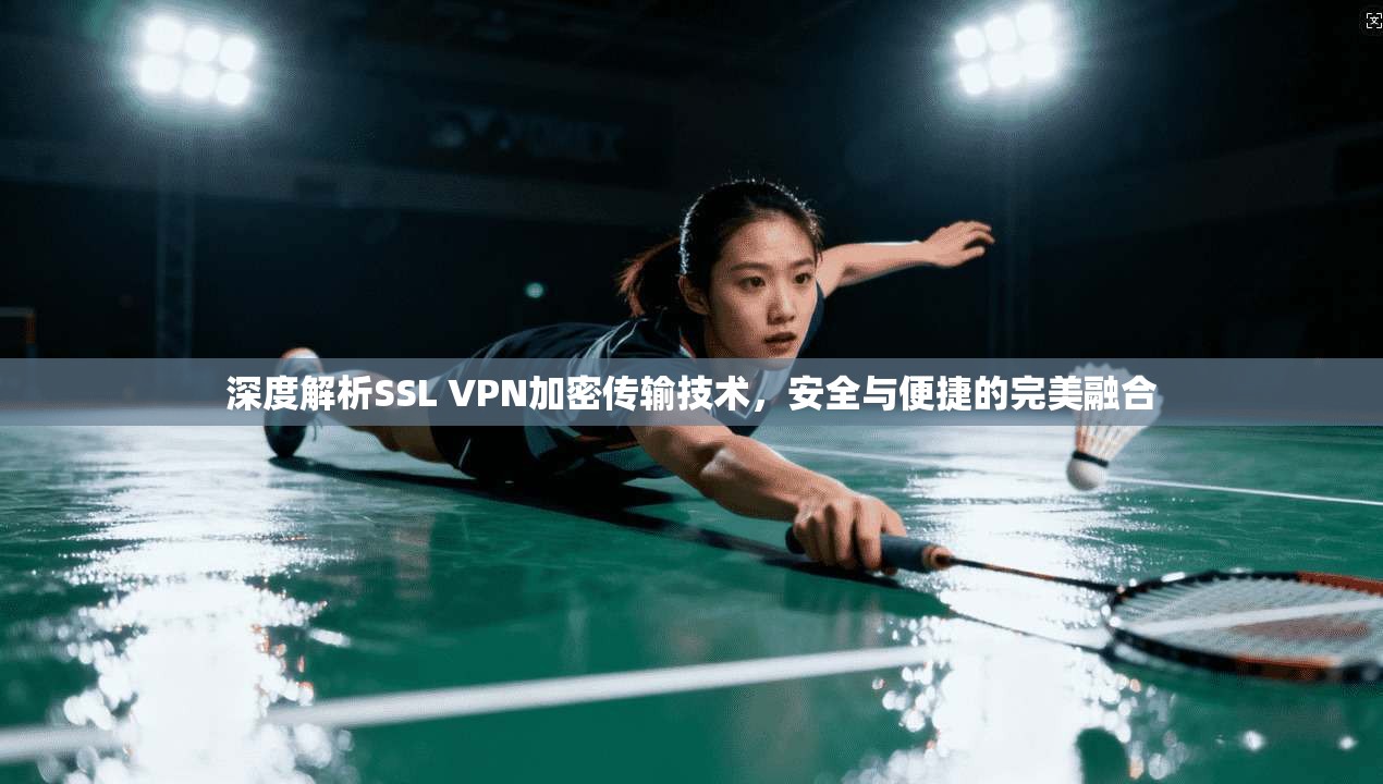 深度解析SSL VPN加密传输技术,安全与便捷的完美融合