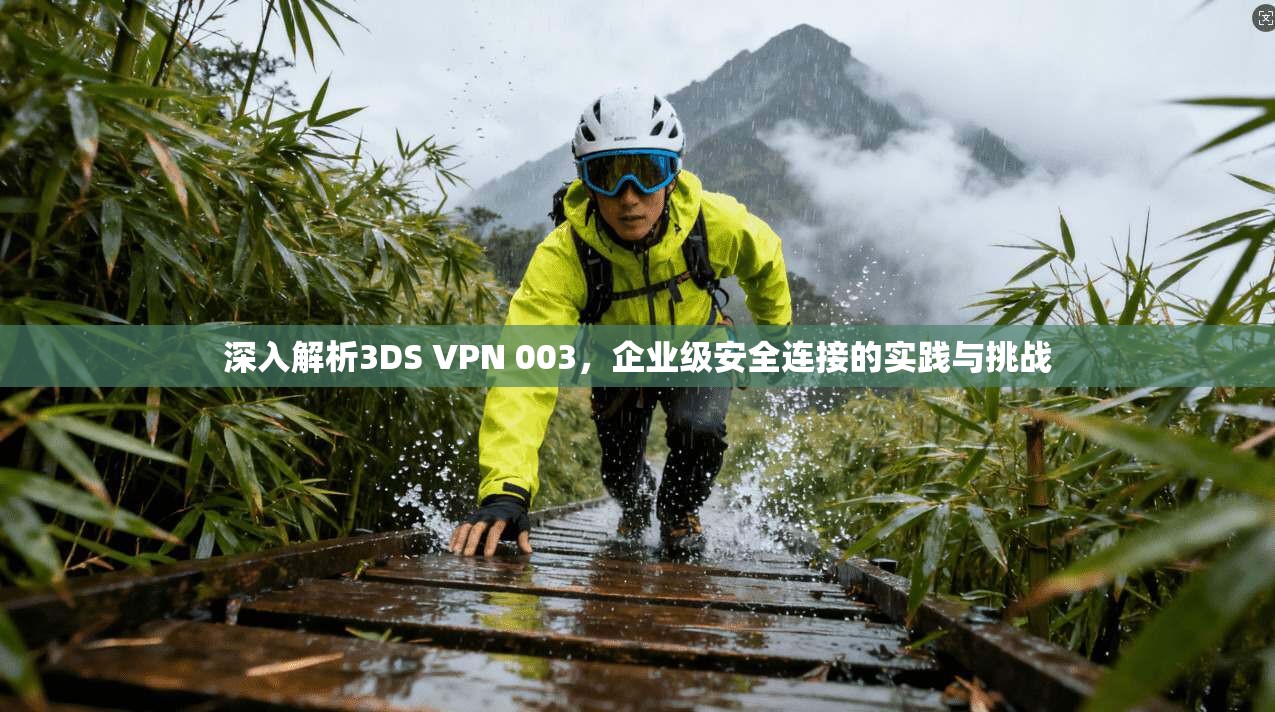 深入解析3DS VPN 003，企业级安全连接的实践与挑战